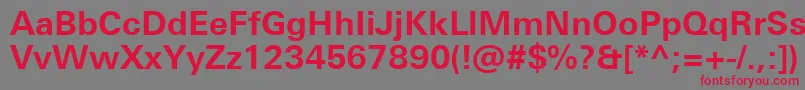 UniversNextProBold Font – Red Fonts on Gray Background