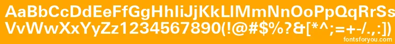 UniversNextProBold Font – White Fonts on Orange Background