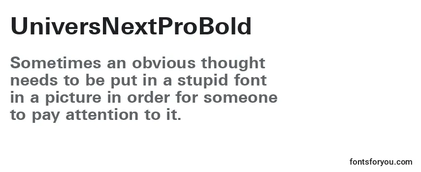 Review of the UniversNextProBold Font