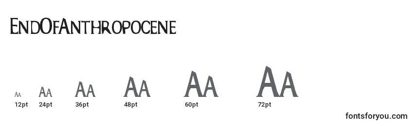 Размеры шрифта EndOfAnthropocene