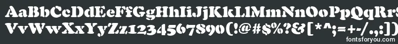 フォントCooperBlackStencilRegular – 白い文字