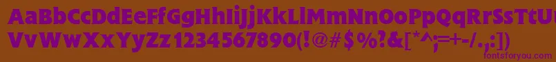 FlareGothicBold Font – Purple Fonts on Brown Background