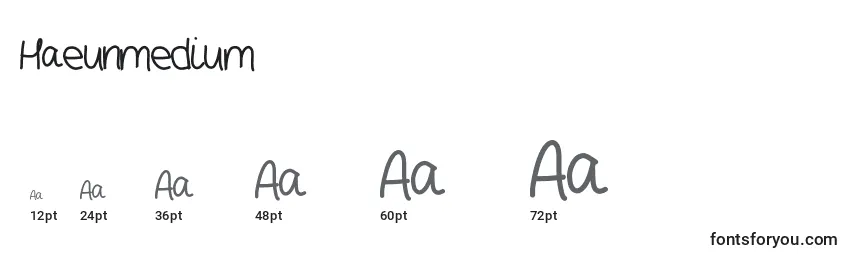 Haeunmedium Font Sizes