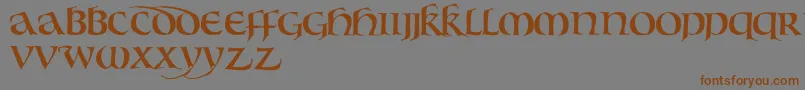 BouwsmaUncial Font – Brown Fonts on Gray Background