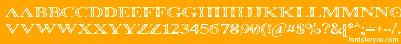 Occoluch-Schriftart – Weiße Schriften auf orangefarbenem Hintergrund