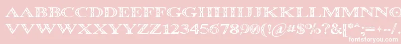 Occoluch-Schriftart – Weiße Schriften auf rosa Hintergrund