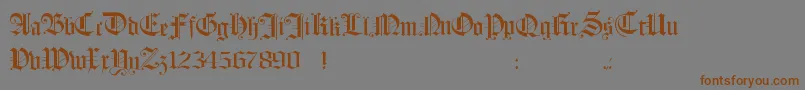 Hollandmorlaeu-fontti – ruskeat fontit harmaalla taustalla