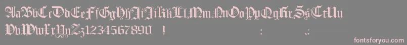 フォントHollandmorlaeu – 灰色の背景にピンクのフォント