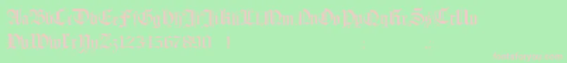 Hollandmorlaeu Font – Pink Fonts on Green Background