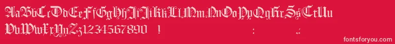 Hollandmorlaeu-Schriftart – Rosa Schriften auf rotem Hintergrund