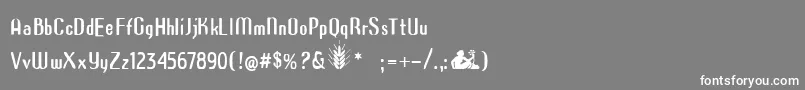 Azimech Font – White Fonts on Gray Background