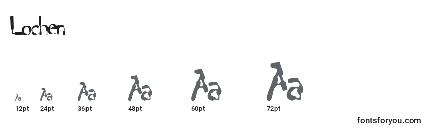 Размеры шрифта Lochen