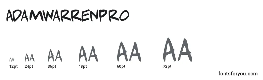 Размеры шрифта Adamwarrenpro
