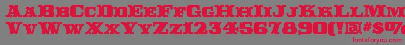 RutinDecor Font – Red Fonts on Gray Background