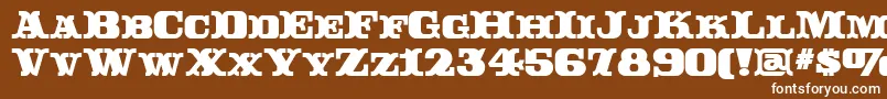 RutinDecor Font – White Fonts on Brown Background