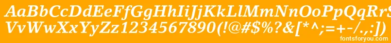 LinoletterstdBolditalic Font – White Fonts on Orange Background