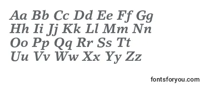 LinoletterstdBolditalic フォントのレビュー