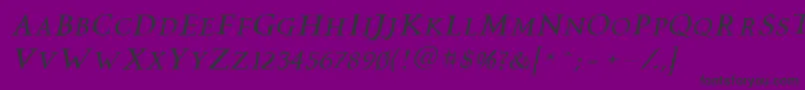 Vtcswitchbladeromanceitalic Font – Black Fonts on Purple Background