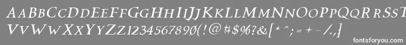 Vtcswitchbladeromanceitalic-Schriftart – Weiße Schriften auf grauem Hintergrund