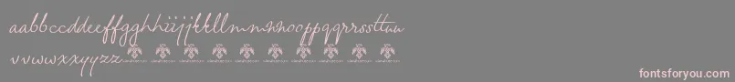 WheatlandDemo-Schriftart – Rosa Schriften auf grauem Hintergrund