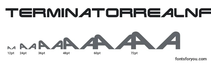 Размеры шрифта Terminatorrealnfi