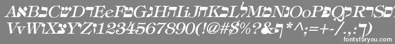 EretzItalic Font – White Fonts on Gray Background