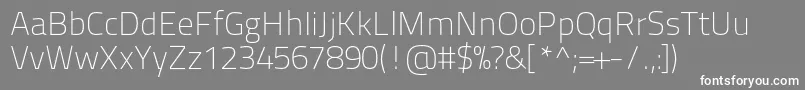 Titilliumtext22l1wt-fontti – valkoiset fontit harmaalla taustalla