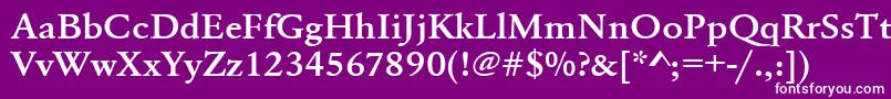 Urwgaramondtdemextwid Font – White Fonts on Purple Background