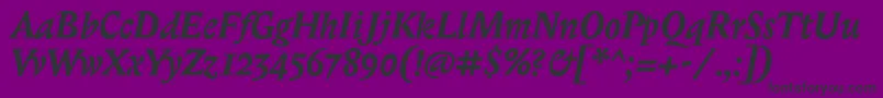 BiblonitcBolditalic Font – Black Fonts on Purple Background