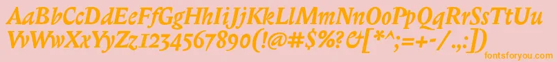 BiblonitcBolditalic Font – Orange Fonts on Pink Background
