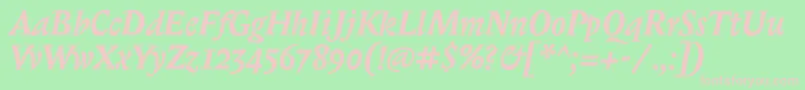 BiblonitcBolditalic Font – Pink Fonts on Green Background