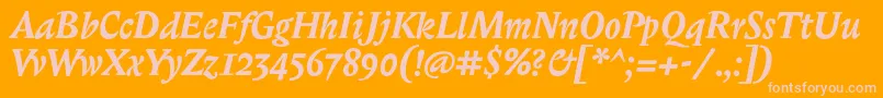 BiblonitcBolditalic Font – Pink Fonts on Orange Background