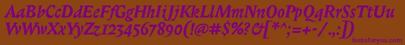 BiblonitcBolditalic Font – Purple Fonts on Brown Background