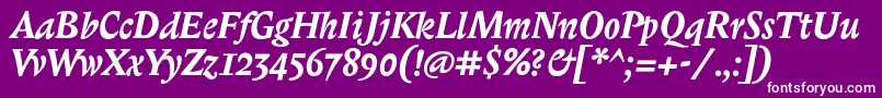 BiblonitcBolditalic-Schriftart – Weiße Schriften auf violettem Hintergrund