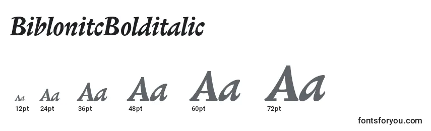 Размеры шрифта BiblonitcBolditalic