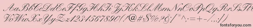 WynnerockscriptMedium Font – Black Fonts on Pink Background