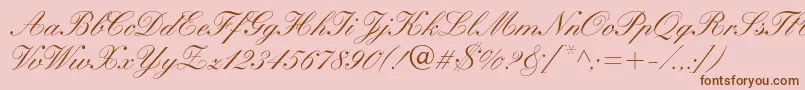 WynnerockscriptMedium Font – Brown Fonts on Pink Background