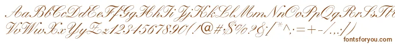 Шрифт WynnerockscriptMedium – коричневые шрифты на белом фоне