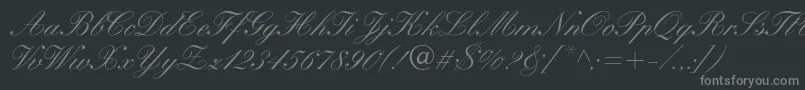 WynnerockscriptMedium Font – Gray Fonts on Black Background