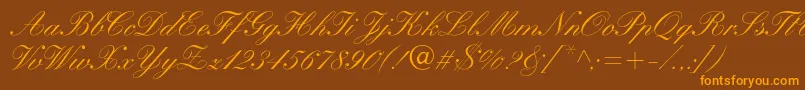 WynnerockscriptMedium Font – Orange Fonts on Brown Background