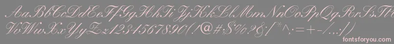 WynnerockscriptMedium Font – Pink Fonts on Gray Background