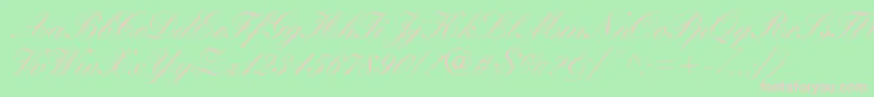 WynnerockscriptMedium Font – Pink Fonts on Green Background
