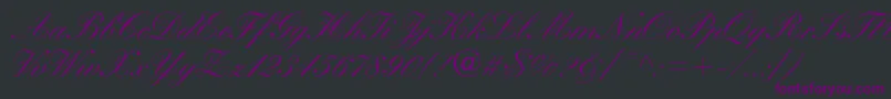 WynnerockscriptMedium Font – Purple Fonts on Black Background
