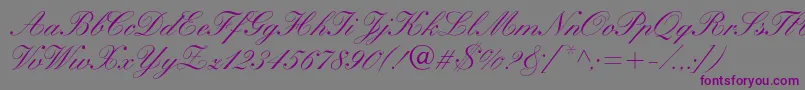 WynnerockscriptMedium Font – Purple Fonts on Gray Background