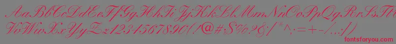 WynnerockscriptMedium Font – Red Fonts on Gray Background