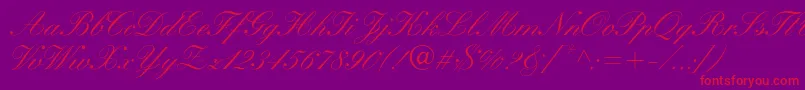 WynnerockscriptMedium Font – Red Fonts on Purple Background
