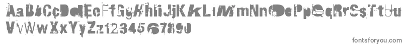 RvdTraktorfahrer-fontti – harmaat kirjasimet valkoisella taustalla