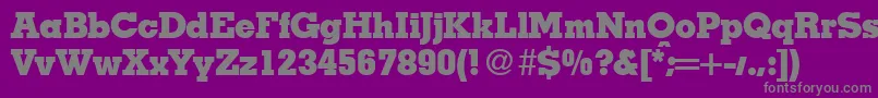 Czcionka MesaHeavyRegular – szare czcionki na fioletowym tle