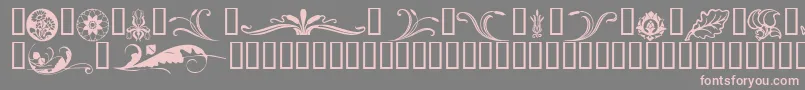 Florals2 Font – Pink Fonts on Gray Background