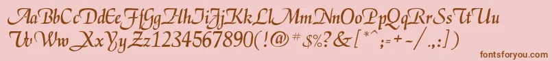 Enigma Font – Brown Fonts on Pink Background
